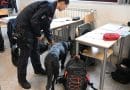 Le scuole al centro del progetto sulla legalità avviato fra i Carabinieri e i Dirigenti Scolastici: controlli nel novese con i cani del Nucleo Cinofili di Volpiano