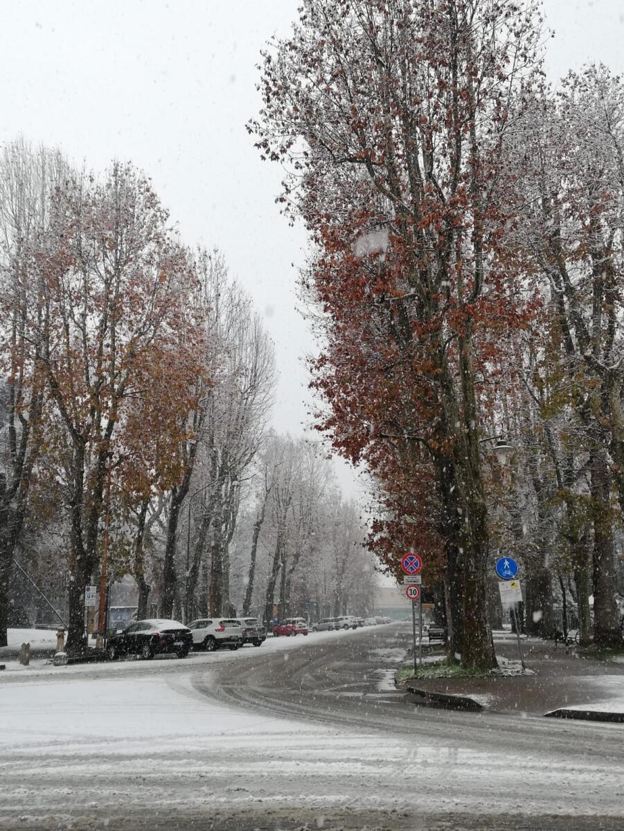 Giardini di Alessandria ore 10:35 - Foto di Maurizio