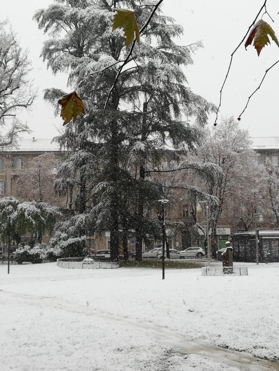 Giardini di Alessandria ore 10:35 - Foto di Maurizio