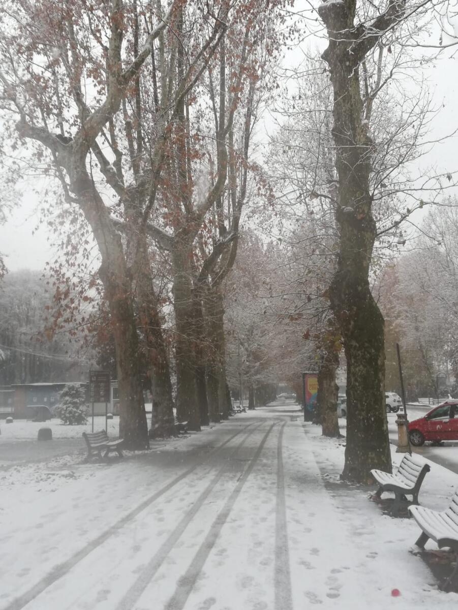 Giardini di Alessandria ore 10:35 - Foto di Maurizio